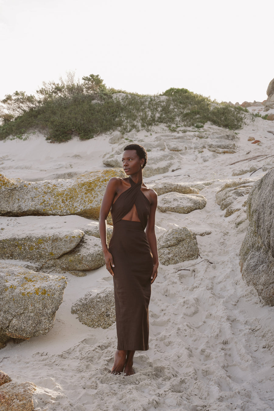 The Storm Dress in Brown