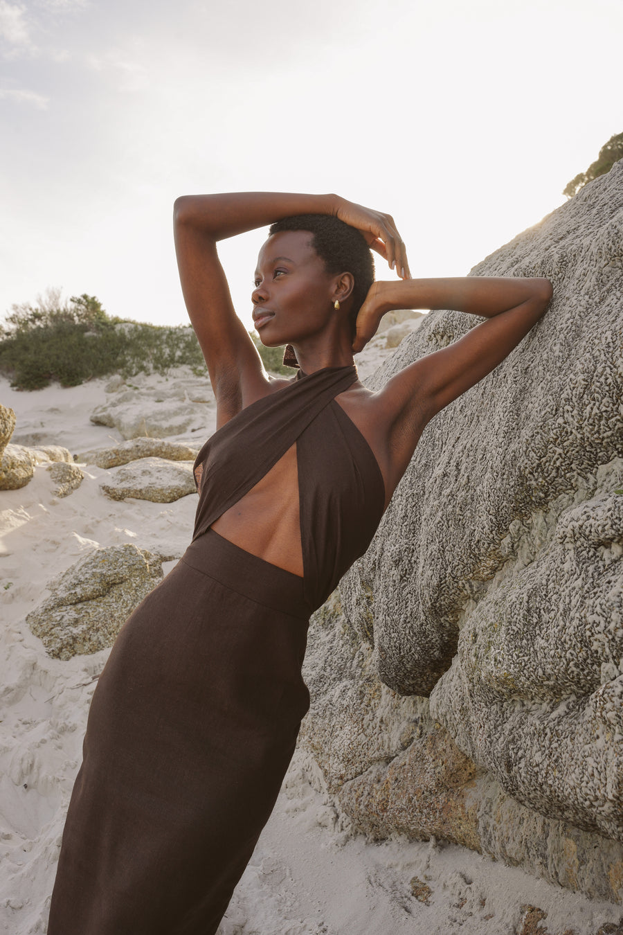 The Storm Dress in Brown