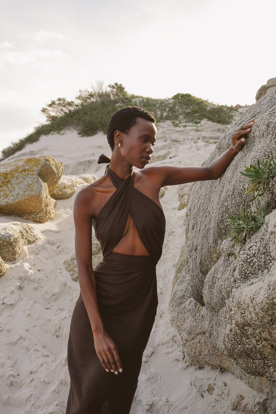 The Storm Dress in Brown